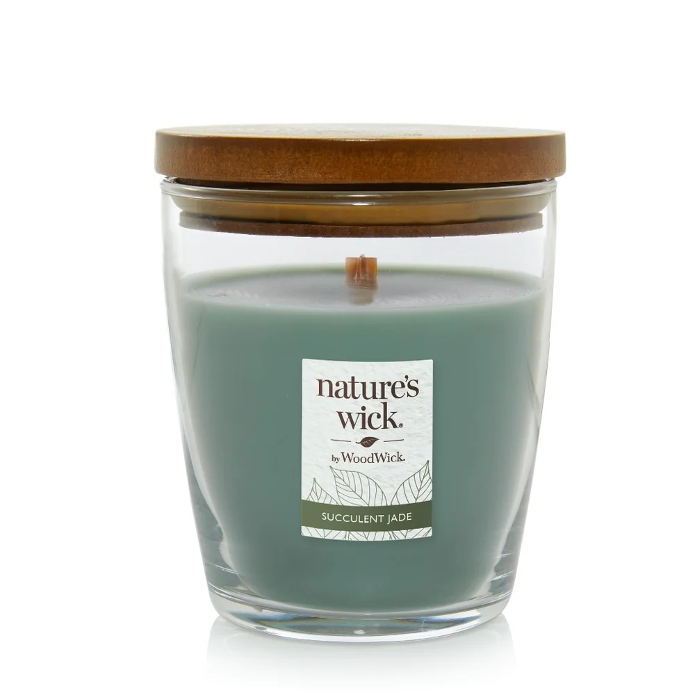 NWT Yankee Woodwick Succulent Jade candle